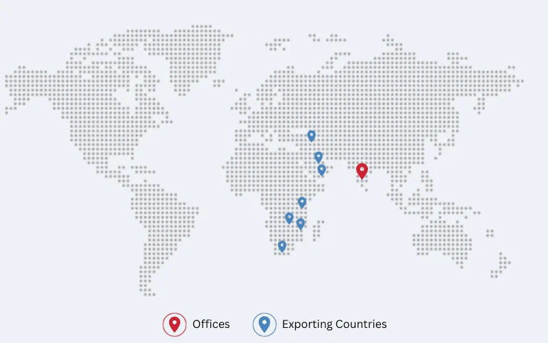 A world map with pins marking various locations.